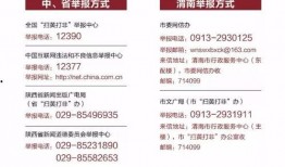 新闻爆料违规吗怎么举报,守护网络清朗空间